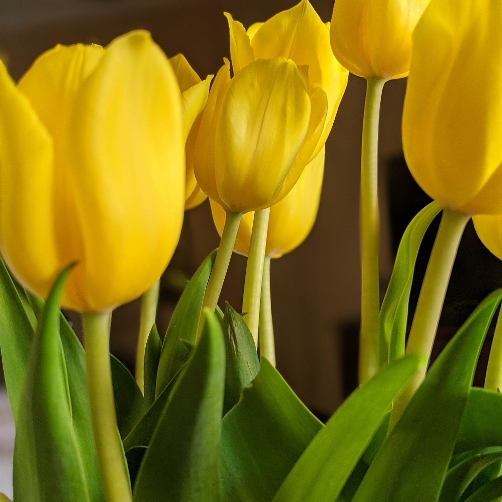 Meet your Posher, Jo